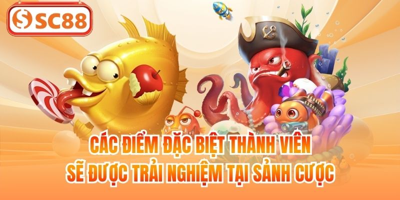 Các điểm đặc biệt thành viên sẽ được trải nghiệm tại sảnh cược