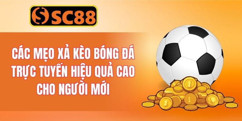 Các mẹo xả kèo bóng đá trực tuyến hiệu quả cao cho người mới