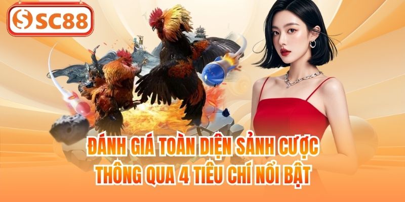 Đánh giá toàn diện sảnh cược thông qua 4 tiêu chí nổi bật