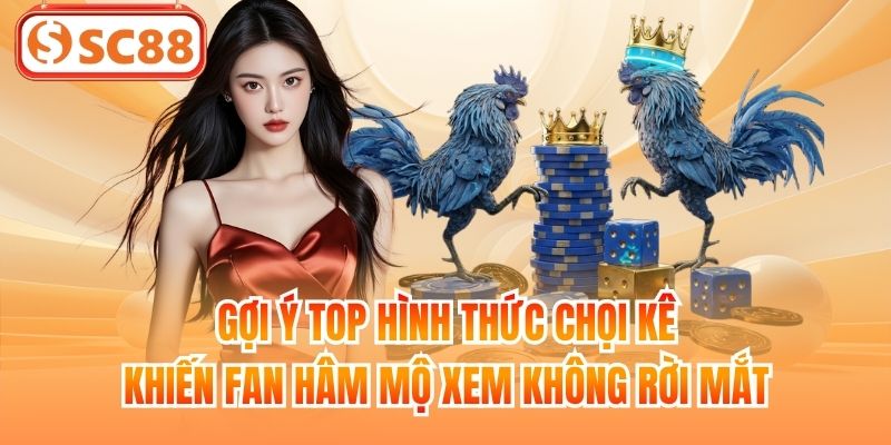 Gợi ý top hình thức chọi kê khiến fan hâm mộ xem không rời mắt